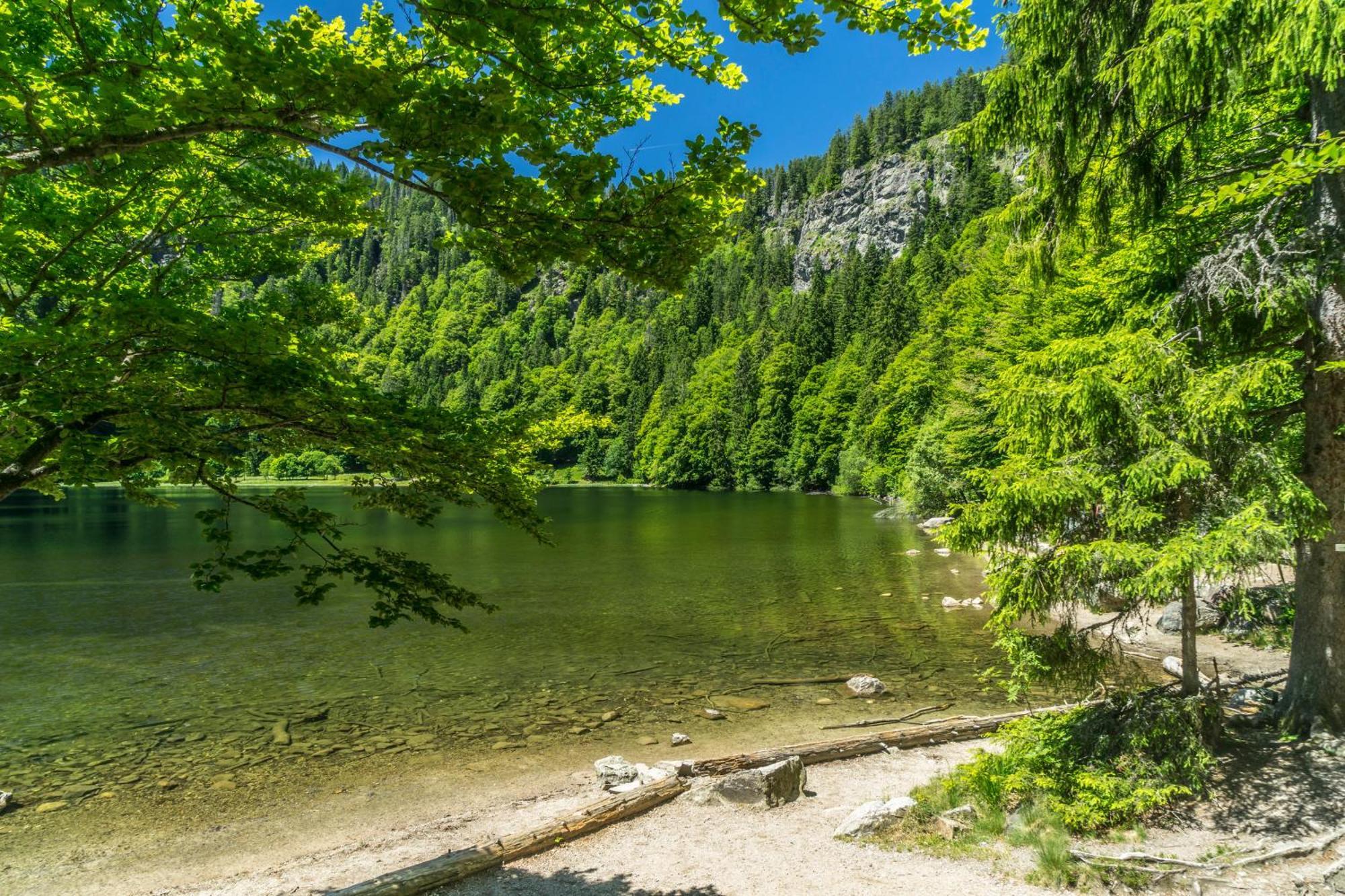Ferienhaus Schwarzwaldstern, Todtnau, 3 Schlafzimmer Bagian luar foto
